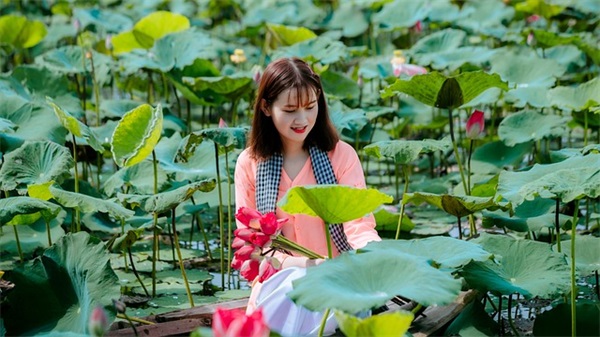芍药的花语和象征意义 芍药的花语和象征意义