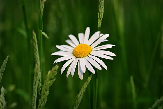 单田芳经典段子语录 【单田芳经典语录大全】