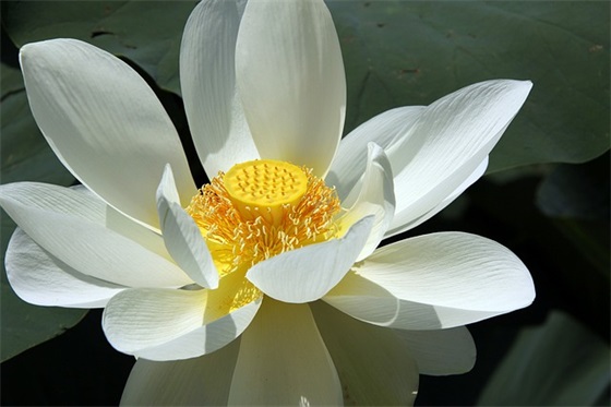 设计小结 设计小结