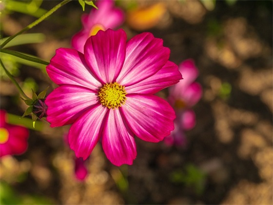 2025年腊八节微信祝福语短语集锦57句 2025年腊八节微信祝福语短语集锦57句