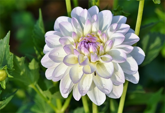 劳动五一节的祝福语60句 劳动五一节的祝福语60句