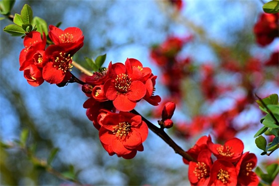 qq带萌字网名