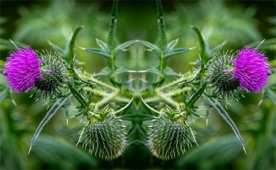 最新个性唯美网名