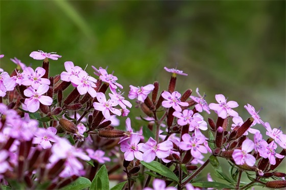 教师节美好文案句子（精选推荐）