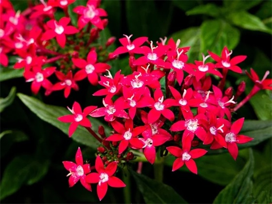 关于适合熬夜带娃发朋友圈的句子126句（全网精选）