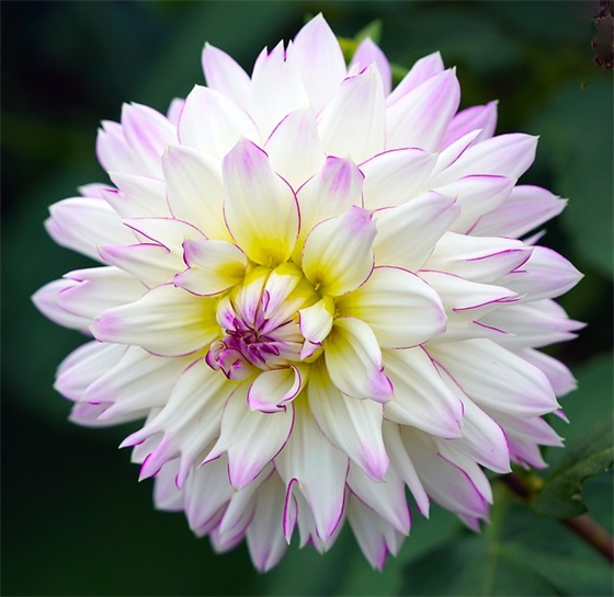 祝老师教师节快乐的文案句子（精选推荐）