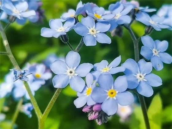 淡泊宁静与世无争 形容一个人与世无争的句子
