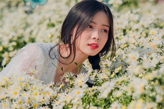 关于形容兰花花的优美句子精选66条(全网精选) 关于形容兰花花的优美句子精选66条(全网精选)