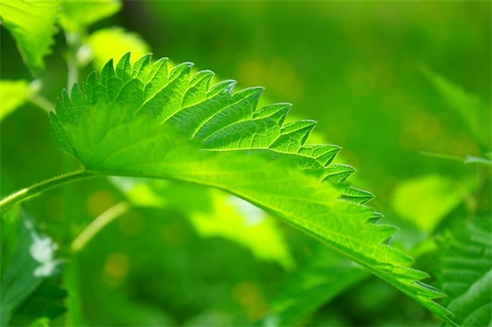 2025年中秋节短信祝福语56句