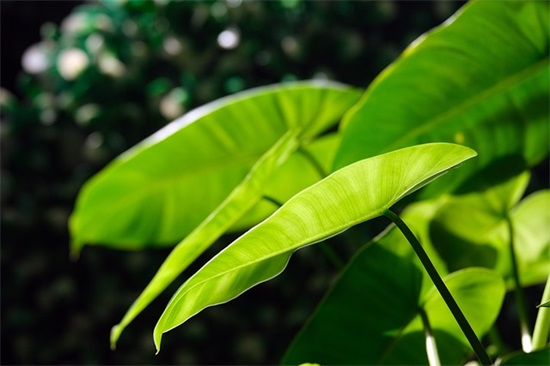 移动办公方案范例6篇 移动办公方案范例6篇