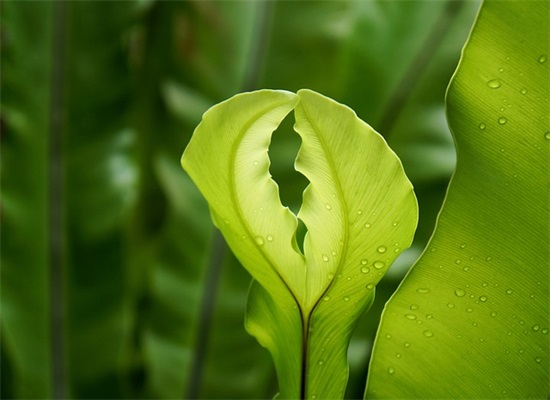 假如时间流逝范例6篇 假如时间流逝范例6篇
