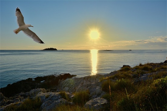 早安问候语81句