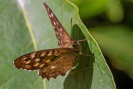 伤感心碎的句子(伤感女生心碎句子)