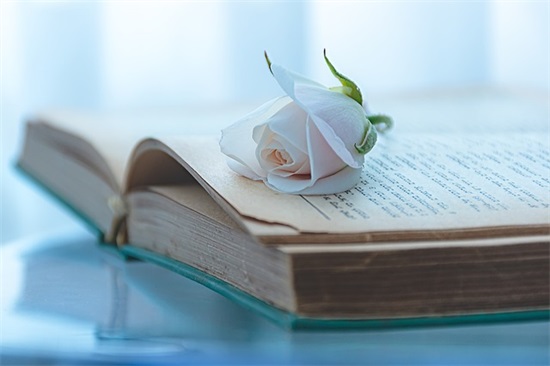 女生想对男生说的话 女生对男生说的暖心的话