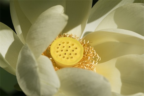 一路走好天堂安息句子153句