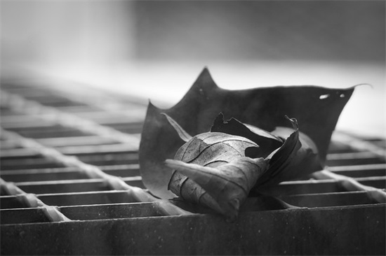 微博热门的自动回复可爱句子(40句)