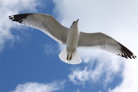 说说心情短语爱情宣言 说说心情短语爱情宣言