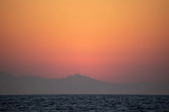 赞美白杨树精神的句子