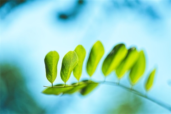 让男人看了亏欠心疼的话 让对方看到忽然心疼的句子