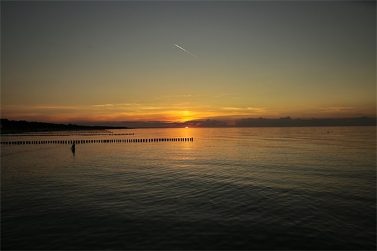 描写银杏树的优美段落 描写银杏树的优美句子