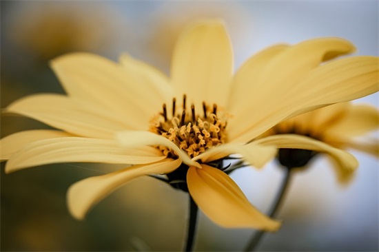 女生生个性网名