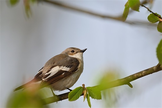 两字有内涵网名女生