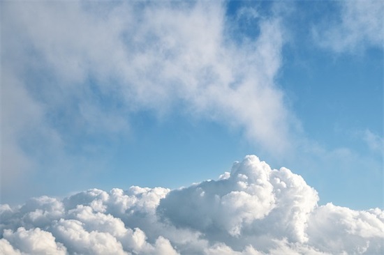 描写小白兔特点的句子 描写小白兔外形特点的句子有哪些