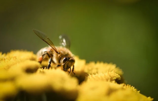 佛教自度的句子 佛教高深句子
