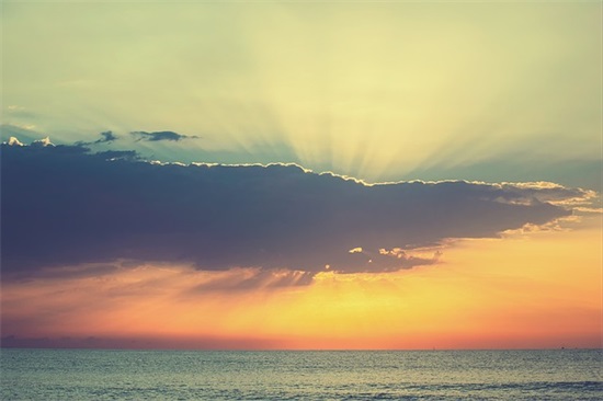 惊蛰有诗意的优美句子 惊蛰诗意