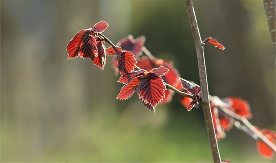 冬天快到的句子