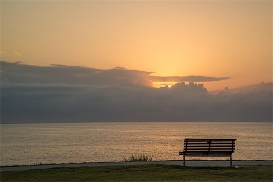 植树节微信文案句子
