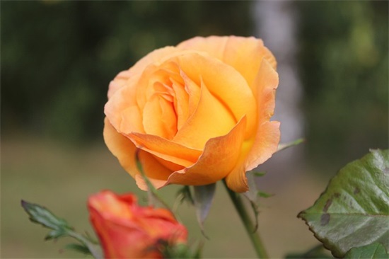 人生最低谷绝望的句子 人生最落魄最穷的感悟