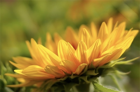 非常有个性的句子 女人很拽的个性句子