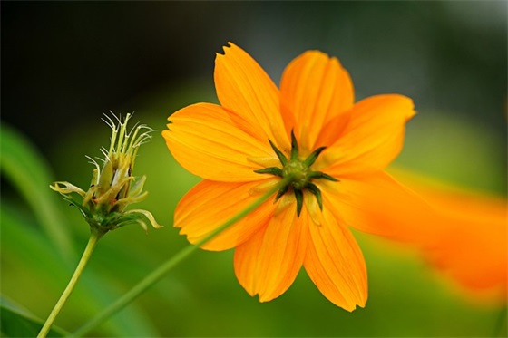 幽默的搞笑表白句子大全