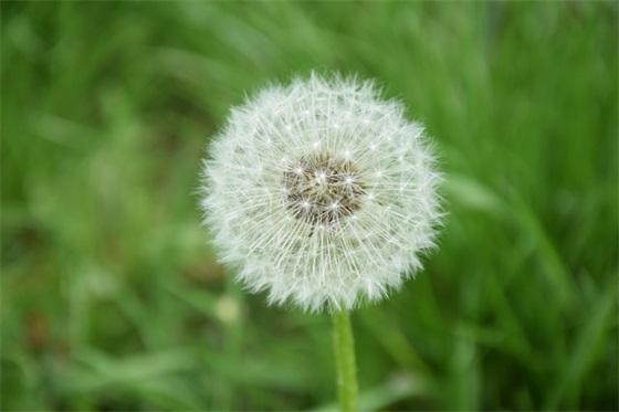 鼓励武汉加油抗击疫情的励志句子 鼓励武汉加油抗击疫情的励志句子