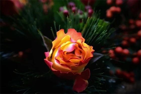 特别逗比的搞笑句子 逗比搞笑句子