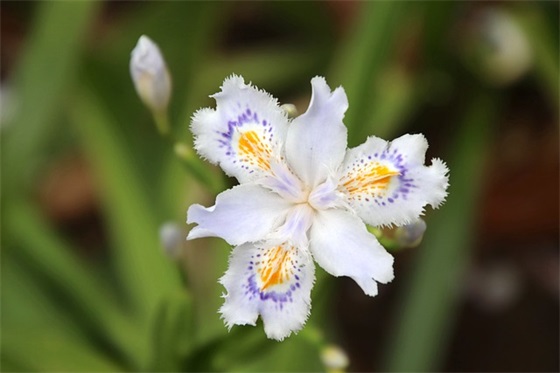 珍惜婚姻的句子