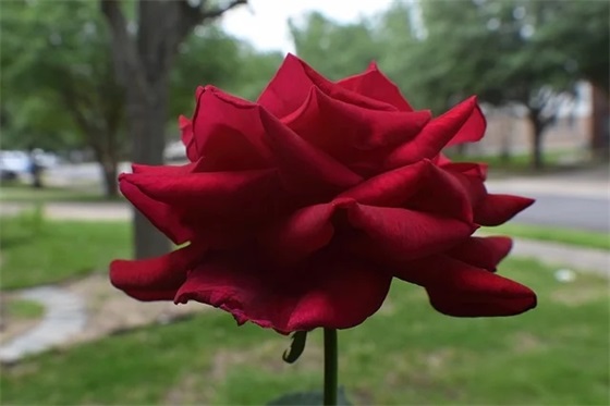 精华非主流的火星文案,非主流伤感句子 精华非主流的火星文案,非主流伤感句子