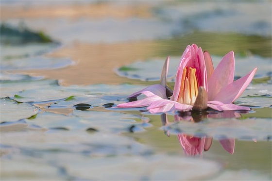 至自己伤感的句子82句