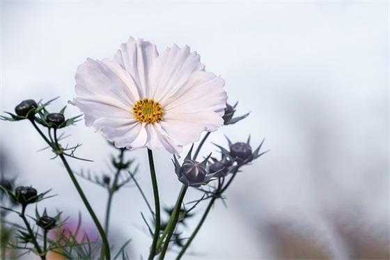 创业几年颇有收获的句子(正能量句子励志短句子) 创业几年颇有收获的句子(正能量句子励志短句子)