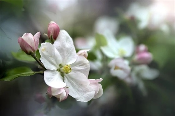 关于想女朋友的句子