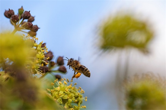 开学的优美句子精选 开学季的优美语句