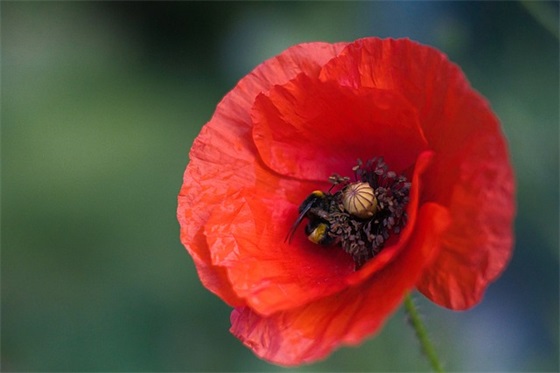 qq炫舞印象句子大全110句