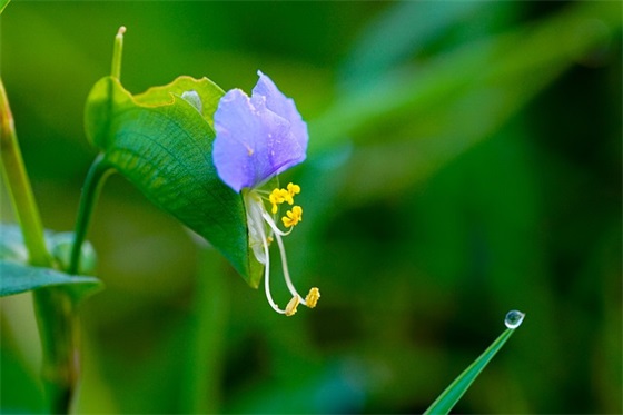 冬天景色描写的一段话 描写冬天的句子景色