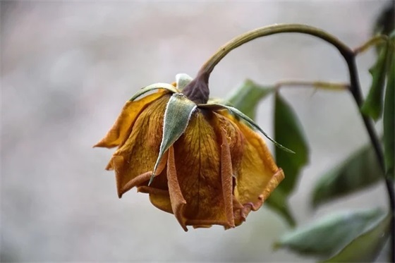 qq聊天搞笑句子90句