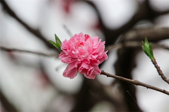 不想分手伤感短句子