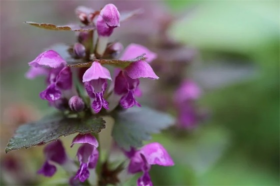 六月再见七月你好的句子