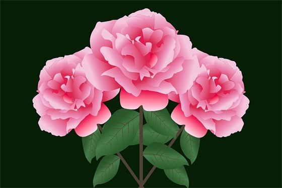 描写五月的优美句子大全