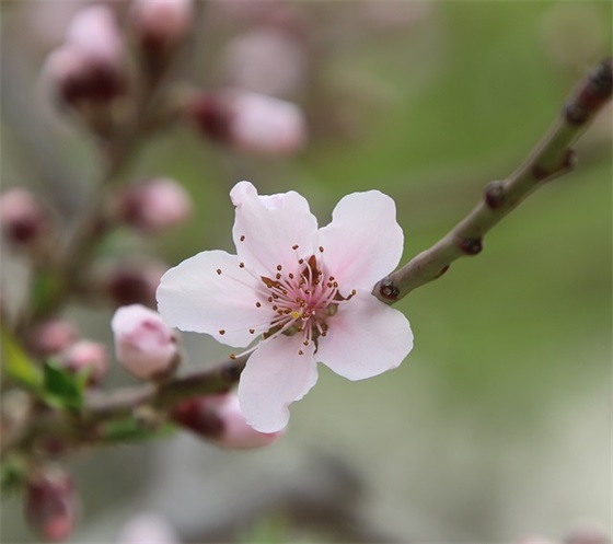 人生感慨的句子伤感 生活心态正能量的句子