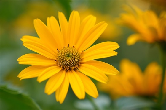 2025年励志人心的句子83句